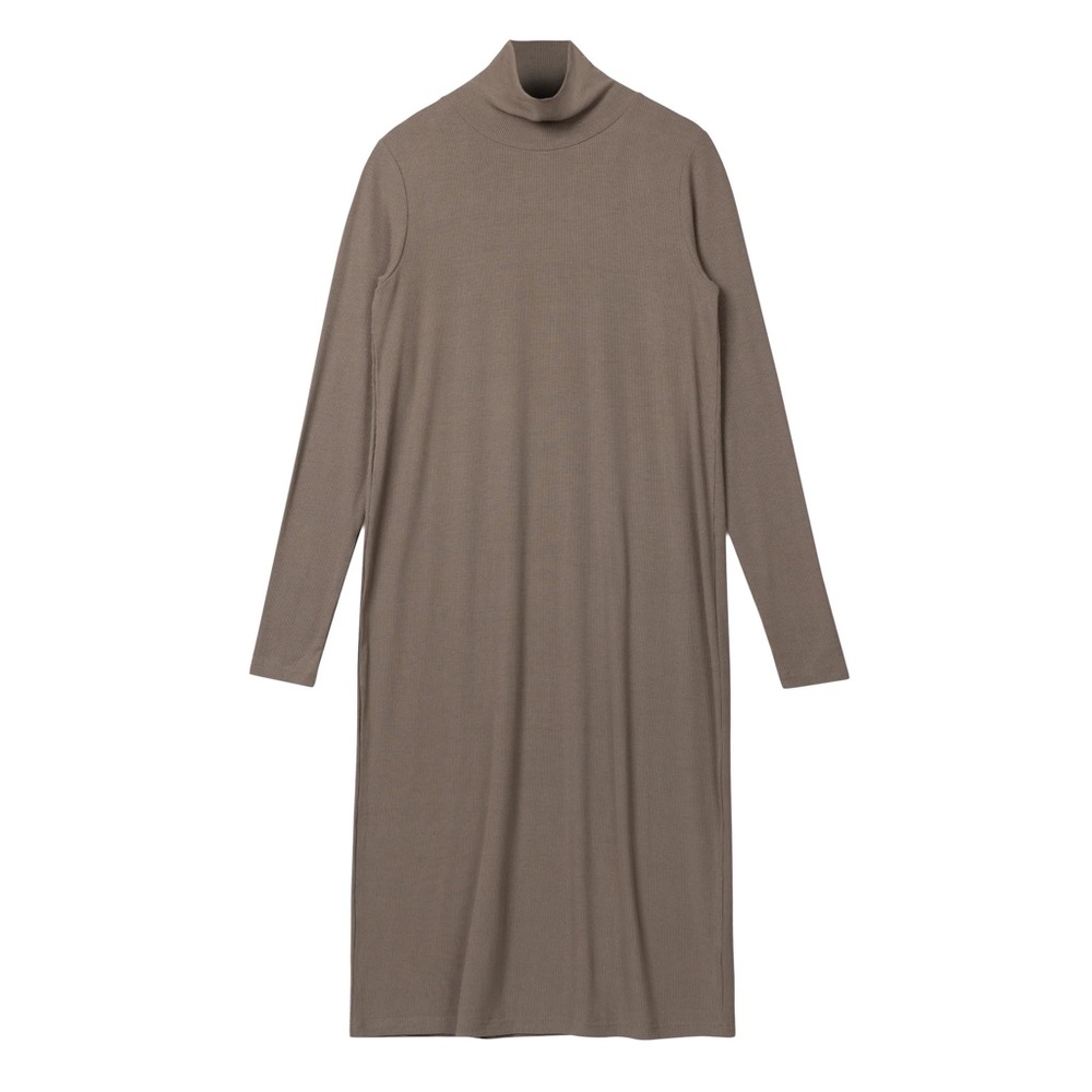 RIBBED TURTLENECK DRESS